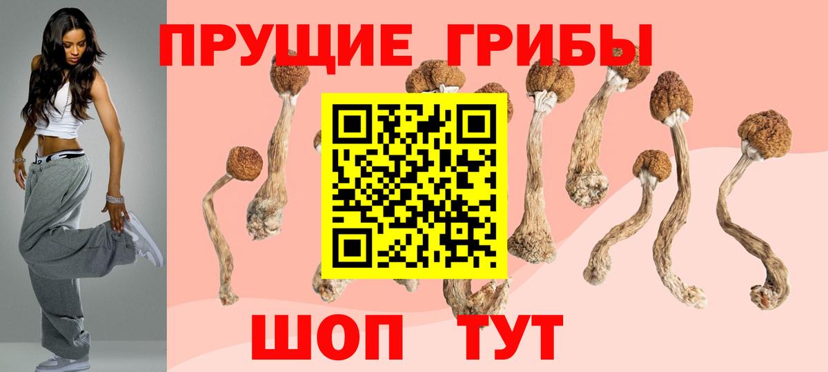Кандалакша  Псилоцибиновые грибы Magic Shrooms  Псилоцибиновые грибы мухоморы  Вход с VPN 